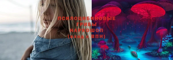дурь Мегион