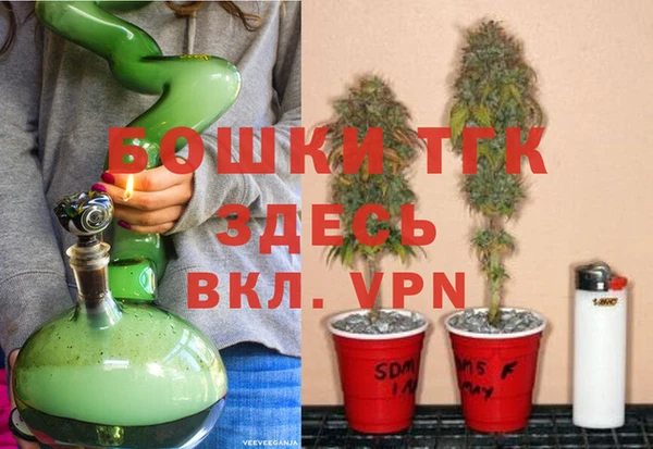дурь Мегион
