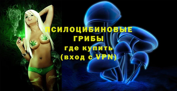a pvp Медвежьегорск