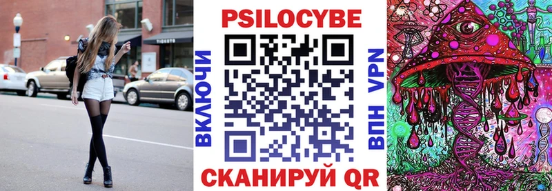 Галлюциногенные грибы Cubensis  ссылка на мегу   Зубцов  закладка 